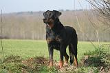 BEAUCERON 1018